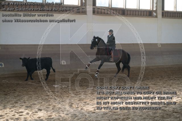 s_b_K3F02390.jpg